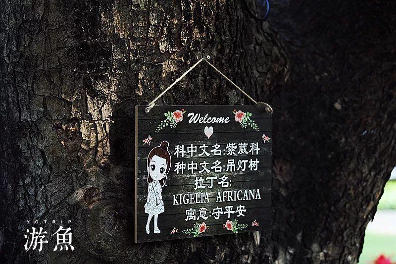 洪洞大槐树系列专题 | 元朝社会背景(二)