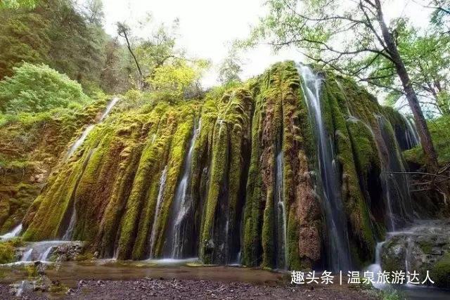 逃离冰淇淋屋