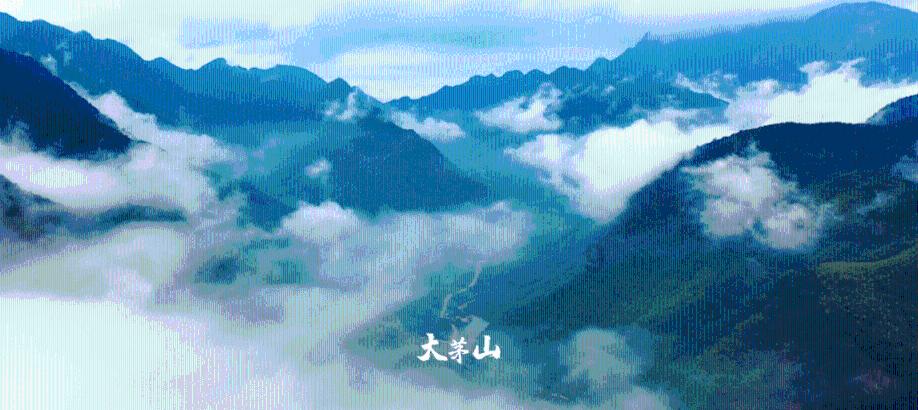 “网红”重庆冀破圈出发 外企入渝逢新机遇