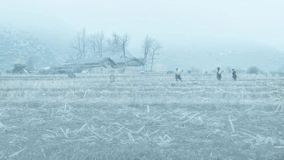 逃出郊外露营地