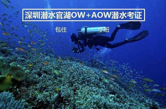 谷歌中国工程师疑似枪杀伴侣后自杀失败,他们是清华同学,毕业后一道赴美