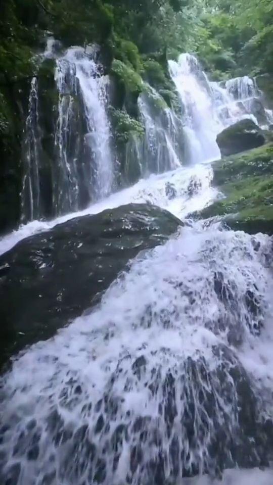逃离亚洲丛林