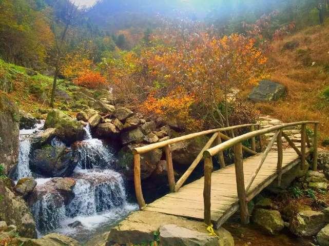 逃离春雨下的房子