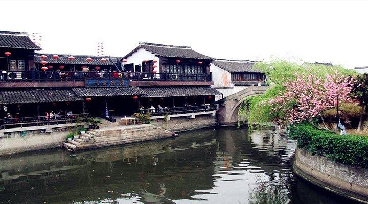 饥饿的松鼠救援