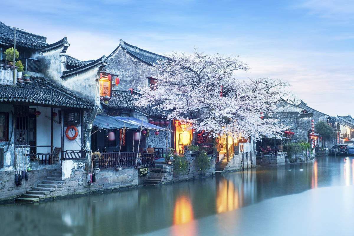 救援可爱的洋葱