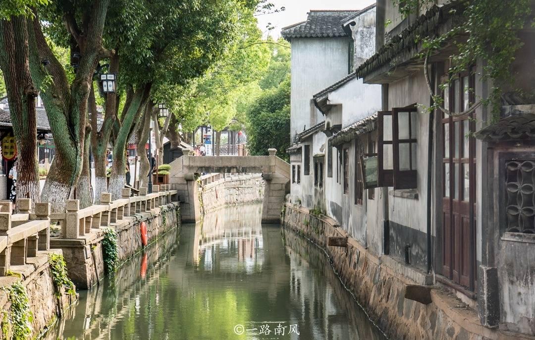 高湖镇新旺村:“小菌棒”推开“致富门”