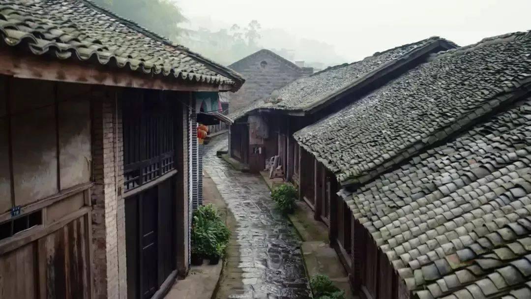 沈阳市启动春风行动专项活动