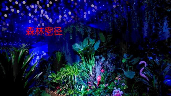 重磅！2025年AP考生请注意：9门科目考试将转为机考！